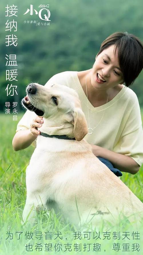 拜罗伊特大学艺术文凭证书